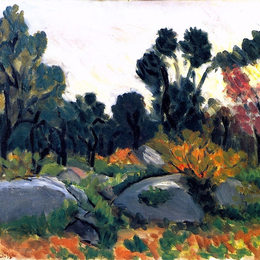 亨利·马蒂斯(Henri Matisse)高清作品:Rocks in the Vall&amp;ampée Du Loup