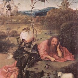 《在冥想的圣施洗约翰》希罗尼穆斯·波希(Hieronymus Bosch)高清作品欣赏