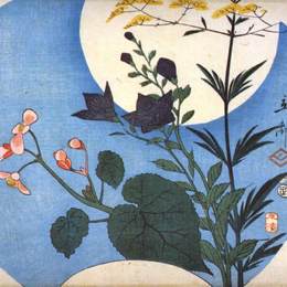 《满月秋花》歌川广重(Hiroshige)高清作品欣赏