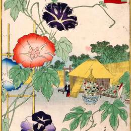 《牵牛花》歌川广重(Hiroshige)高清作品欣赏