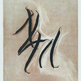 胡伯廷海耶曼(Hubertine Heijermans)高清作品:Calligraphy of green beans - photogravure Hubertine Heijerma