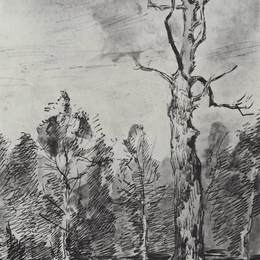 《路边的一棵干枯的树》列维坦(Isaac Levitan)高清作品欣赏