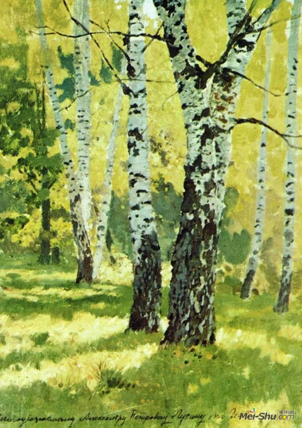 列维坦的桦树林图片