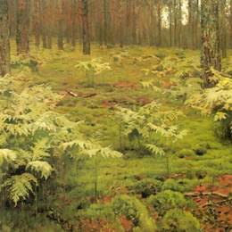 《森林蕨类植物》列维坦(Isaac Levitan)高清作品欣赏