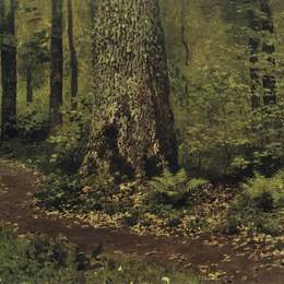 《森林中的人行道蕨类植物。》列维坦(Isaac Levitan)高清作品欣赏