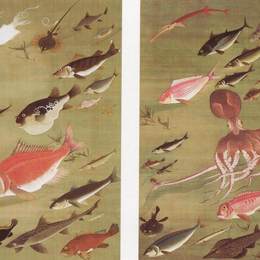 《章鱼与鱼》伊藤若冲(Ito Jakuchu)高清作品欣赏