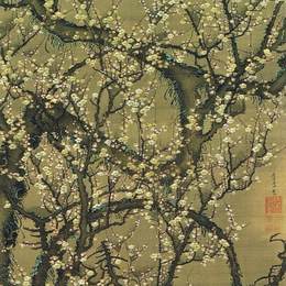 《贝卡库格图苏》伊藤若冲(Ito Jakuchu)高清作品欣赏