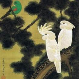 《鲁索欧木祖》伊藤若冲(Ito Jakuchu)高清作品欣赏