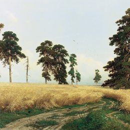 《黑麦地》伊万·希什金(Ivan Shishkin)高清作品欣赏