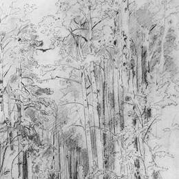 《阿斯彭在前往基瓦奇的路上》伊万·希什金(Ivan Shishkin)高清作品欣赏