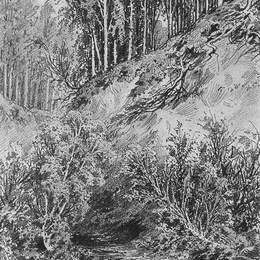 《溪流银行》伊万·希什金(Ivan Shishkin)高清作品欣赏