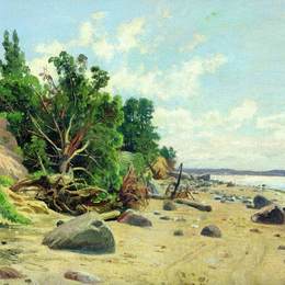 《海滩》伊万·希什金(Ivan Shishkin)高清作品欣赏
