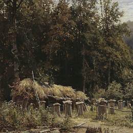 《蜜蜂科》伊万·希什金(Ivan Shishkin)高清作品欣赏