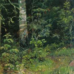 《桦木和山灰》伊万·希什金(Ivan Shishkin)高清作品欣赏