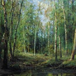 《桦树林》伊万·希什金(Ivan Shishkin)高清作品欣赏