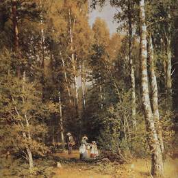 《桦树林》伊万·希什金(Ivan Shishkin)高清作品欣赏