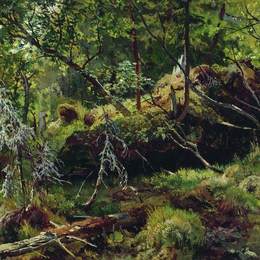 《分支机构》伊万·希什金(Ivan Shishkin)高清作品欣赏