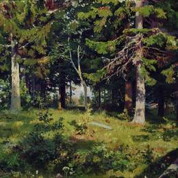 《森林清理》伊万·希什金(Ivan Shishkin)高清作品欣赏