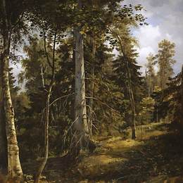 《隐蔽的》伊万·希什金(Ivan Shishkin)高清作品欣赏