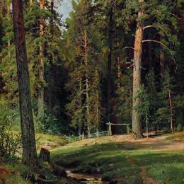 《森林边缘》伊万·希什金(Ivan Shishkin)高清作品欣赏