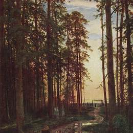 《松林之夜》伊万·希什金(Ivan Shishkin)高清作品欣赏