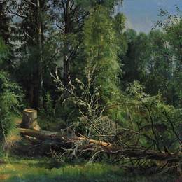 《倒下的树》伊万·希什金(Ivan Shishkin)高清作品欣赏