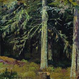 《冷杉林》伊万·希什金(Ivan Shishkin)高清作品欣赏