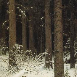 《冬季冷杉林》伊万·希什金(Ivan Shishkin)高清作品欣赏