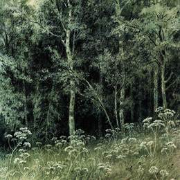 《森林里的花》伊万·希什金(Ivan Shishkin)高清作品欣赏