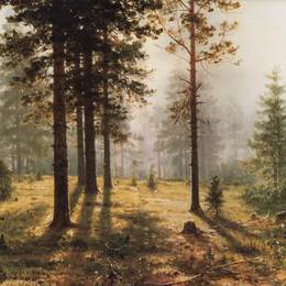 《森林中的雾》伊万·希什金(Ivan Shishkin)高清作品欣赏