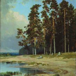 《森林》伊万·希什金(Ivan Shishkin)高清作品欣赏