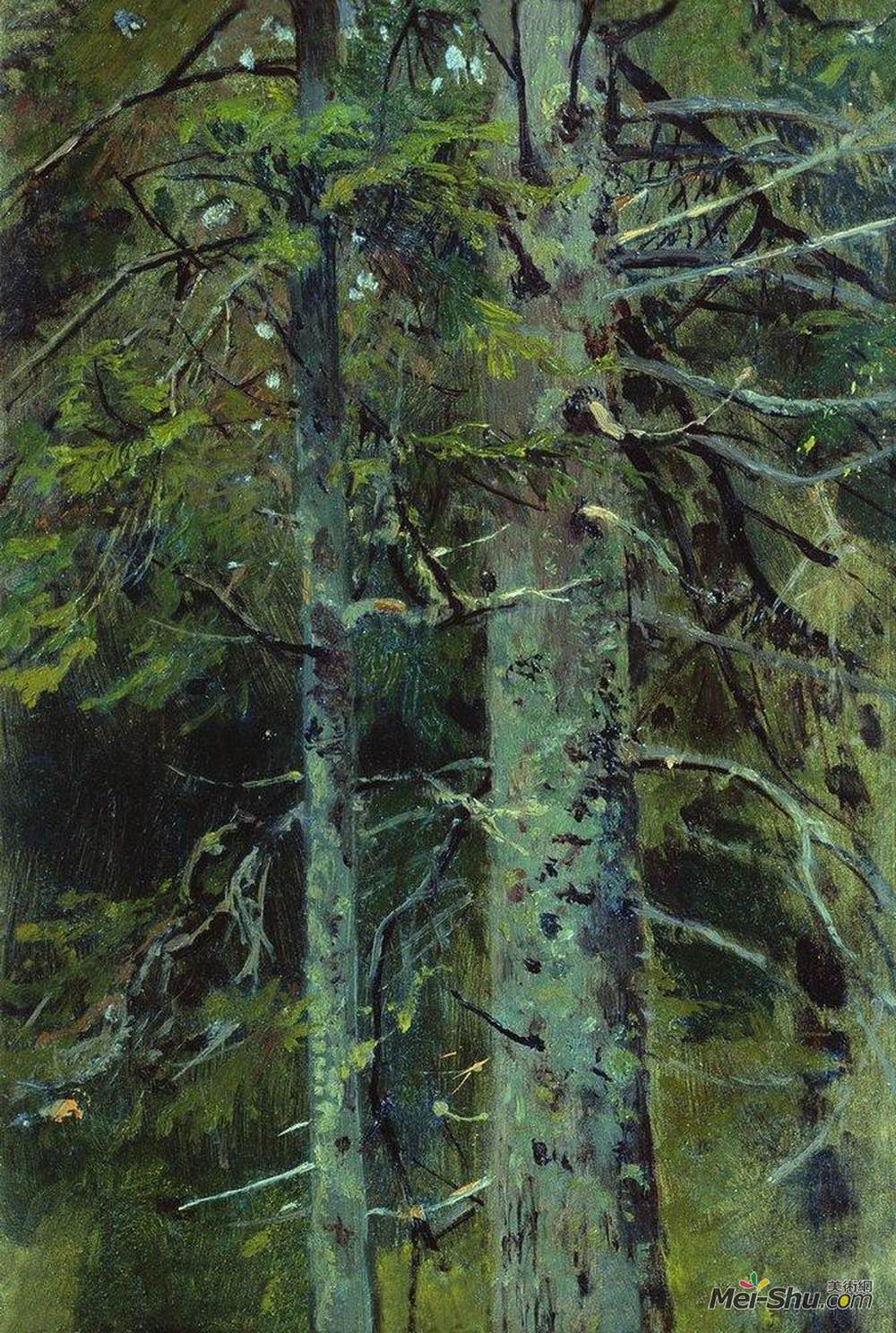 《森林》伊万·希什金(ivan shishkin)高清作品欣赏