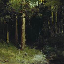 《森林》伊万·希什金(Ivan Shishkin)高清作品欣赏