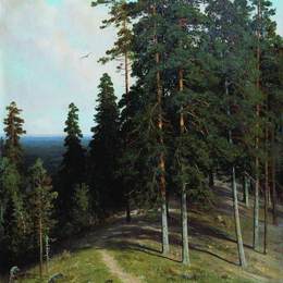 《从山上的森林》伊万·希什金(Ivan Shishkin)高清作品欣赏