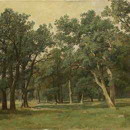 《森林林地》伊万·希什金(Ivan Shishkin)高清作品欣赏