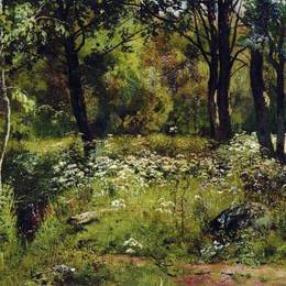 《森林林地》伊万·希什金(Ivan Shishkin)高清作品欣赏