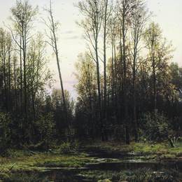 《春季森林》伊万·希什金(Ivan Shishkin)高清作品欣赏