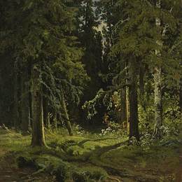 《森林景观》伊万·希什金(Ivan Shishkin)高清作品欣赏