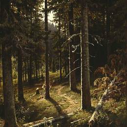 《森林景观》伊万·希什金(Ivan Shishkin)高清作品欣赏