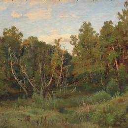 《森林景观》伊万·希什金(Ivan Shishkin)高清作品欣赏