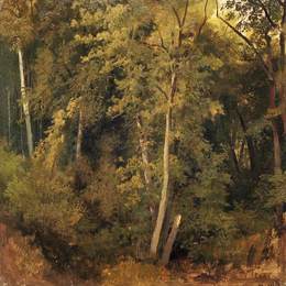 《森林景观》伊万·希什金(Ivan Shishkin)高清作品欣赏