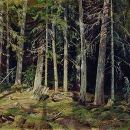 《森林。土墩》伊万·希什金(Ivan Shishkin)高清作品欣赏