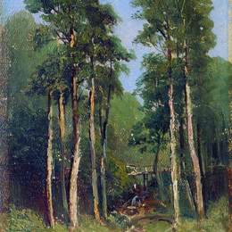 《森林溪流》伊万·希什金(Ivan Shishkin)高清作品欣赏