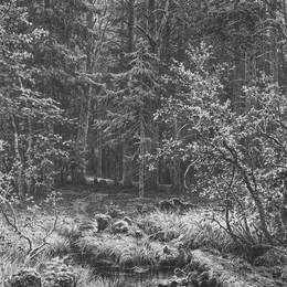《森林沼泽》伊万·希什金(Ivan Shishkin)高清作品欣赏