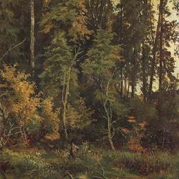 《走向秋天》伊万·希什金(Ivan Shishkin)高清作品欣赏