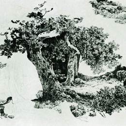 《落叶树木和石料集团》伊万·希什金(Ivan Shishkin)高清作品欣赏