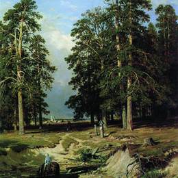 《叶拉布加附近的圣溪》伊万·希什金(Ivan Shishkin)高清作品欣赏