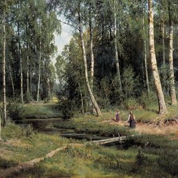 《桦树林》伊万·希什金(Ivan Shishkin)高清作品欣赏