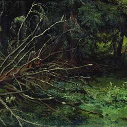 《杉木林》伊万·希什金(Ivan Shishkin)高清作品欣赏