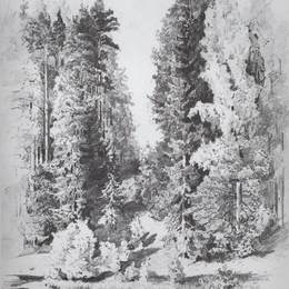 《在公园里》伊万·希什金(Ivan Shishkin)高清作品欣赏